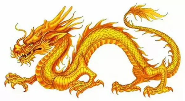 3. 龙的牙齿