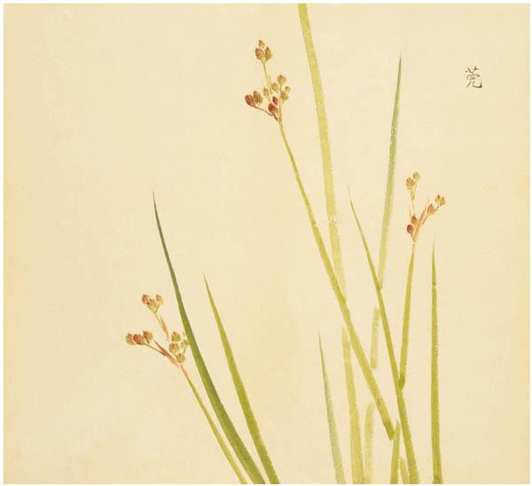 《诗经》里87种唯美植物,你知道它们长什么样吗? - 知乎