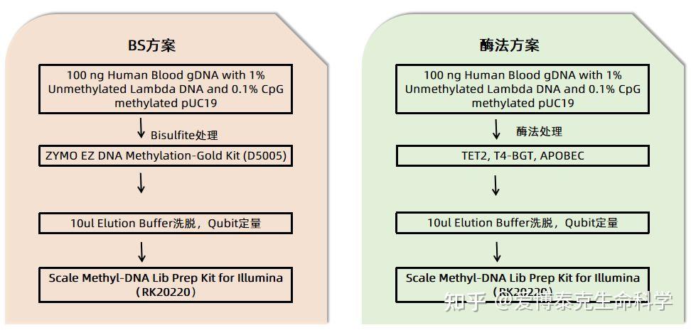 如何提高微量样品成功率？揭秘DNA甲基化研究的幕后推手 - 知乎