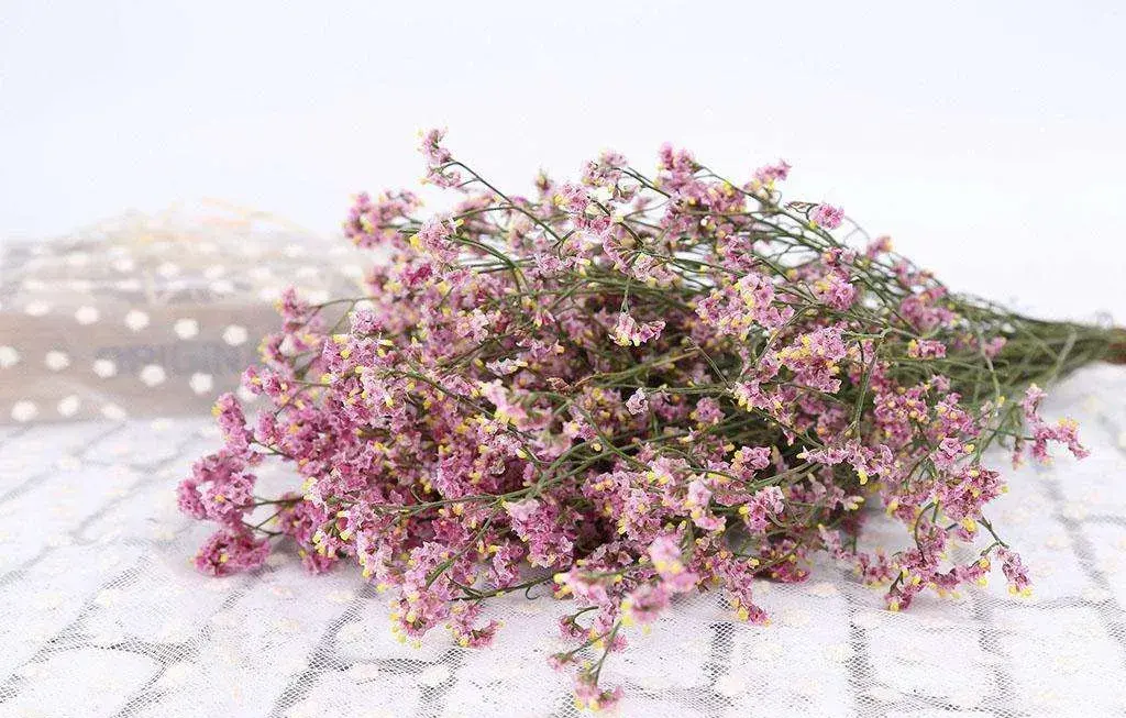 俏叶更胜花|叶材认知大全