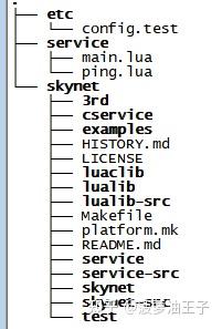 Skynet Example skynet实践三、config配置说明和基本API+例子 - 知乎