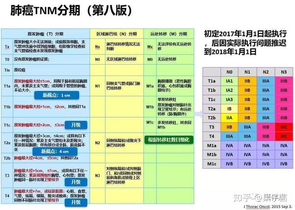 科普 肺癌的分期 知乎