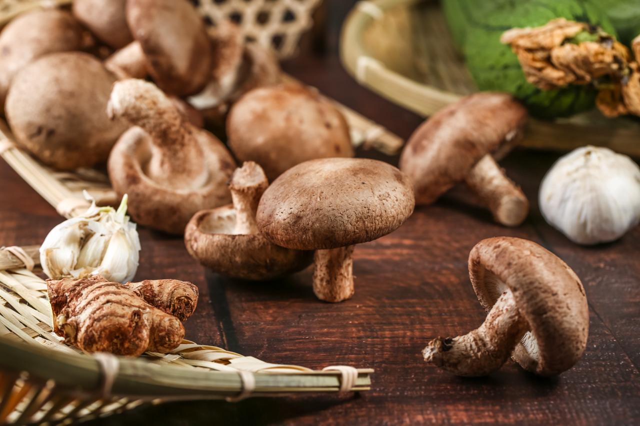 宜昌特产远安香菇