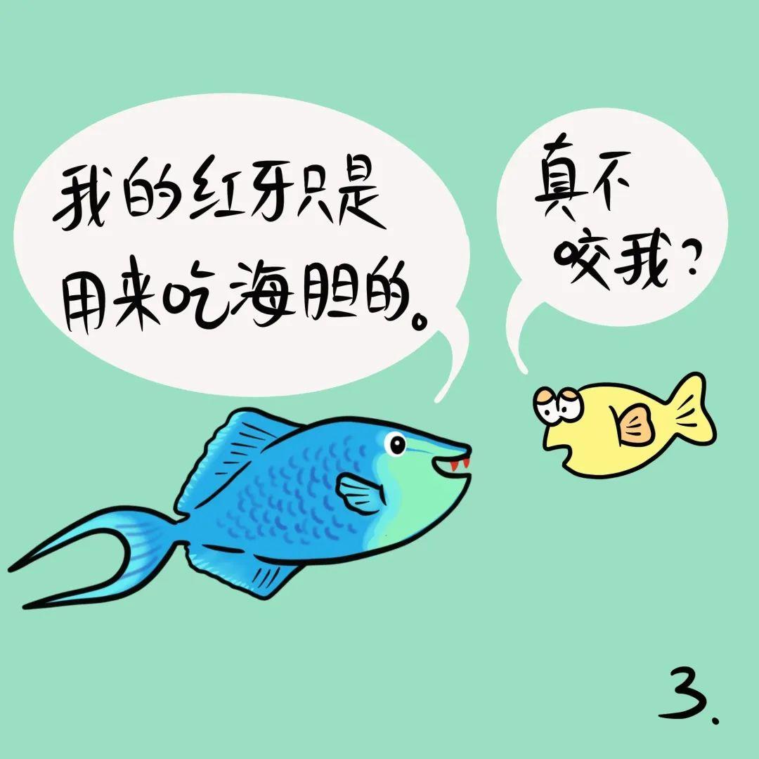 科普漫画 | 可怕的“魔鬼炮弹”（作者：刘萍） - 知乎