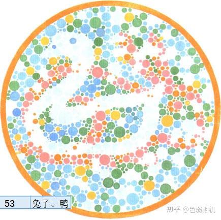 色弱测试图及答案 王克长第二版 驾考,体检,征兵专用