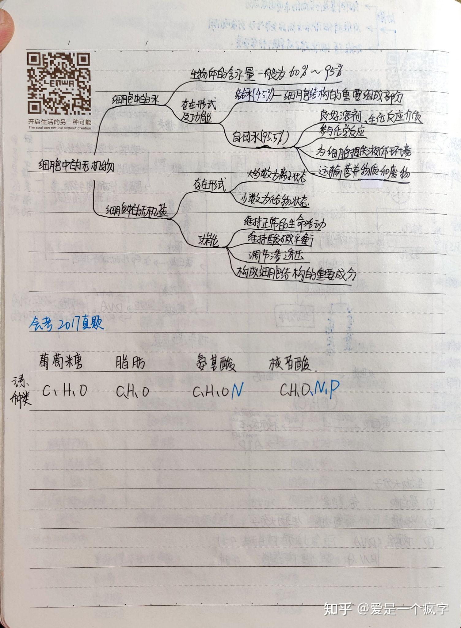高中生物必修一笔记整理