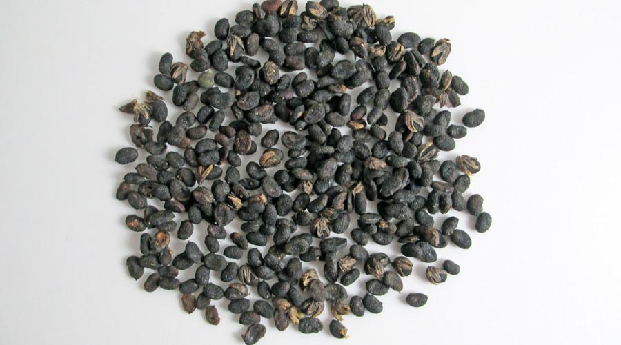 在临床使用缩泉丸这个方子的时候,也经常配合肾气丸或者桑螵蛸散加减