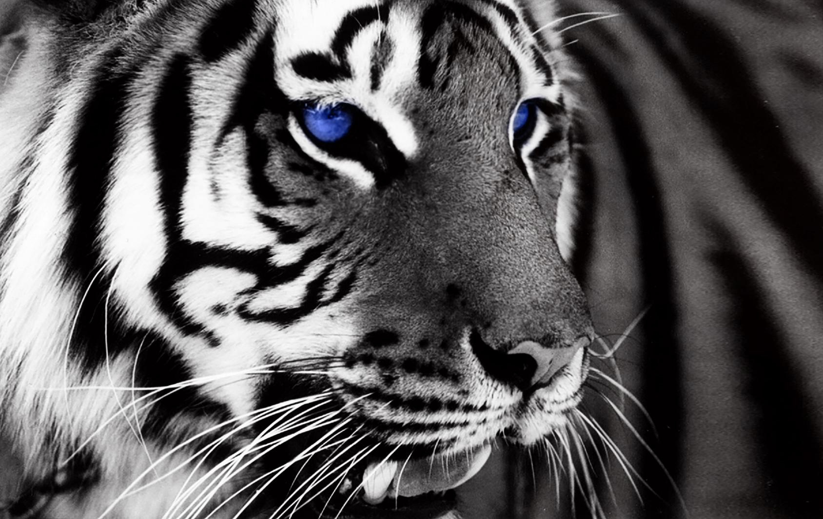 小新 pro14   电脑壁纸 官网图