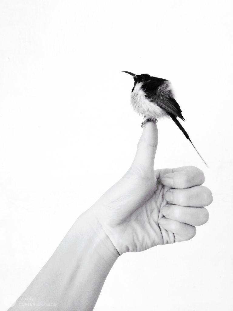 为什么薪酬制度大多规定底薪,有些岗位甚至就