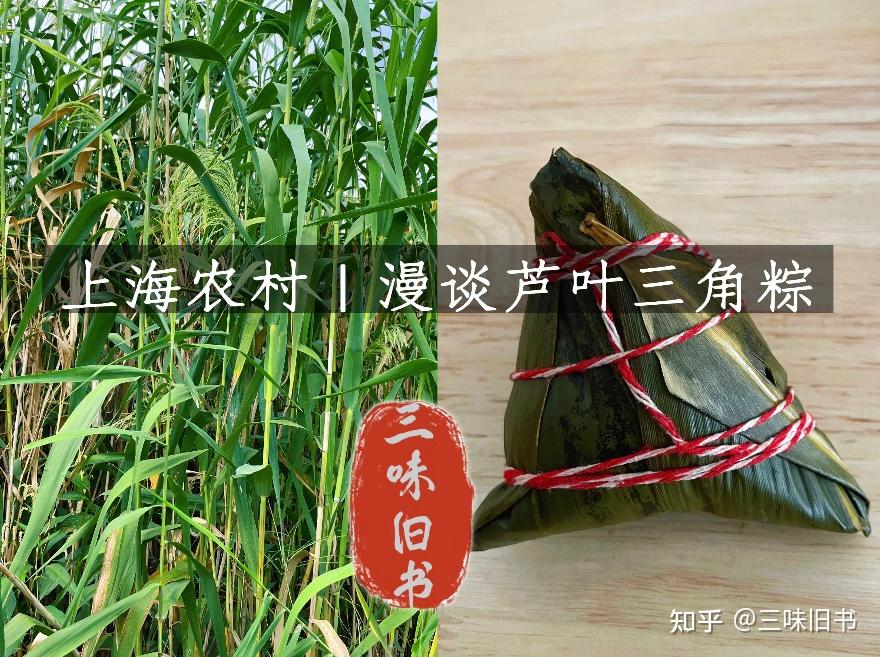上海农村|漫谈芦叶三角粽 - 知乎
