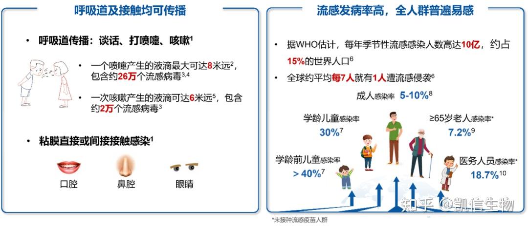 2022-2023季節性流感疫情形勢分析