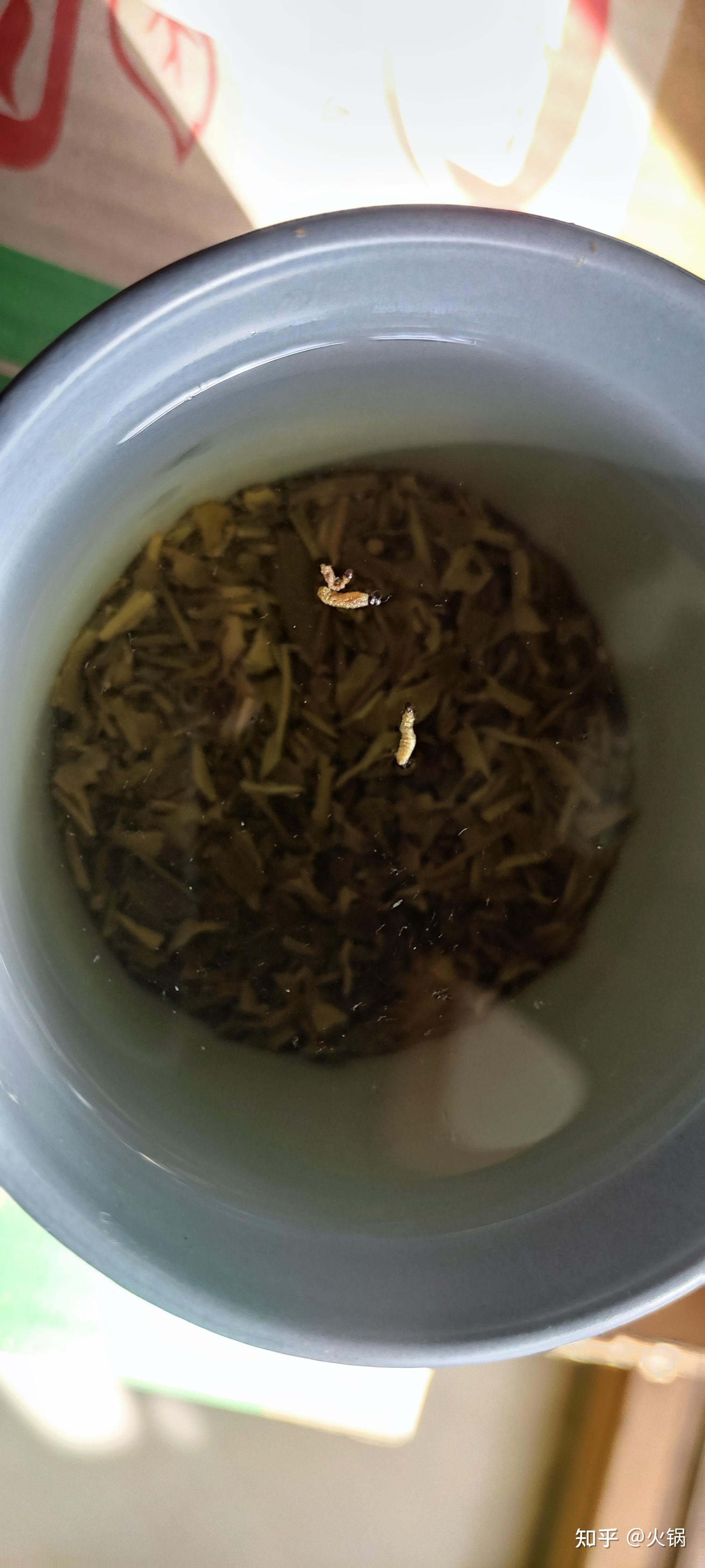 第一次喝茉莉花茶叶京华茶叶就喝出问题