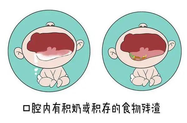 吃完奶或吃完饭后,最好可以喂点白开水给宝宝喝,达到清洁口腔的目的