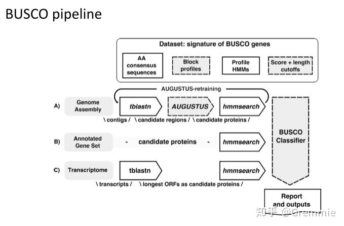 从头全基因组组装De novo whole genome assembly - 知乎
