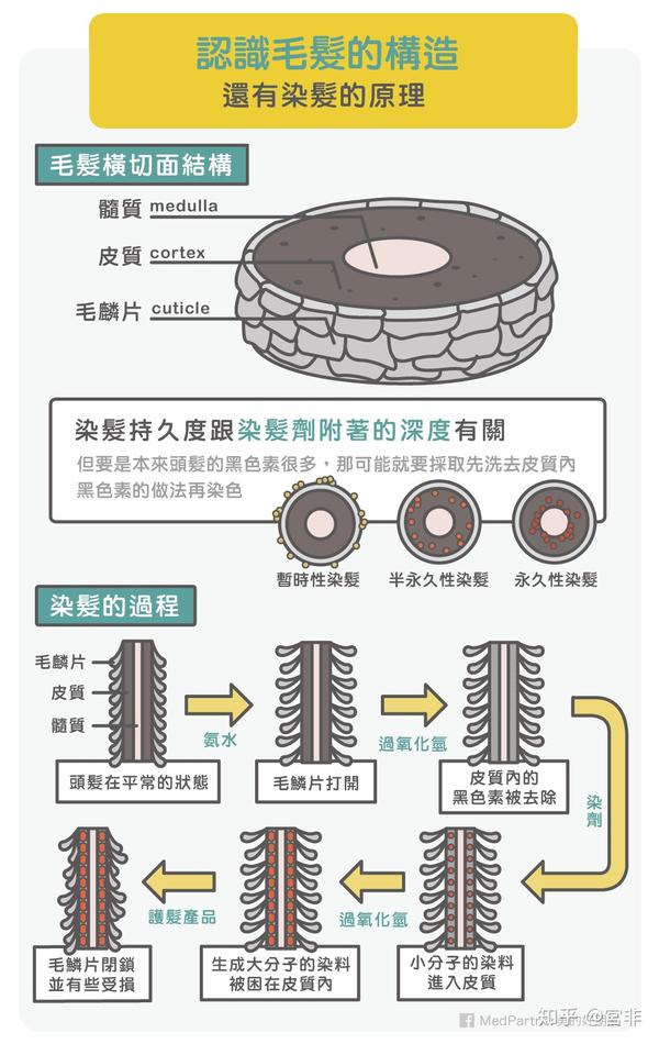 应用技术大公开系列q之一 医美 石墨烯染发剂的制备工艺 1 3 知乎