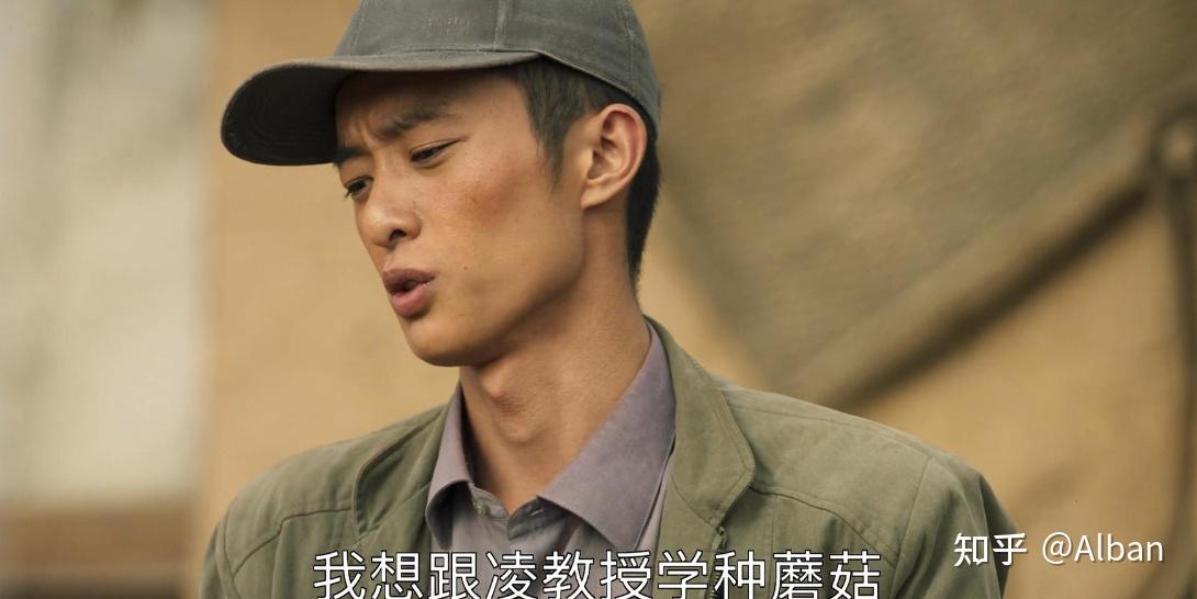 山海情黄轩醉酒叹人生尕娃重磅回归蘑菇销路指日可待