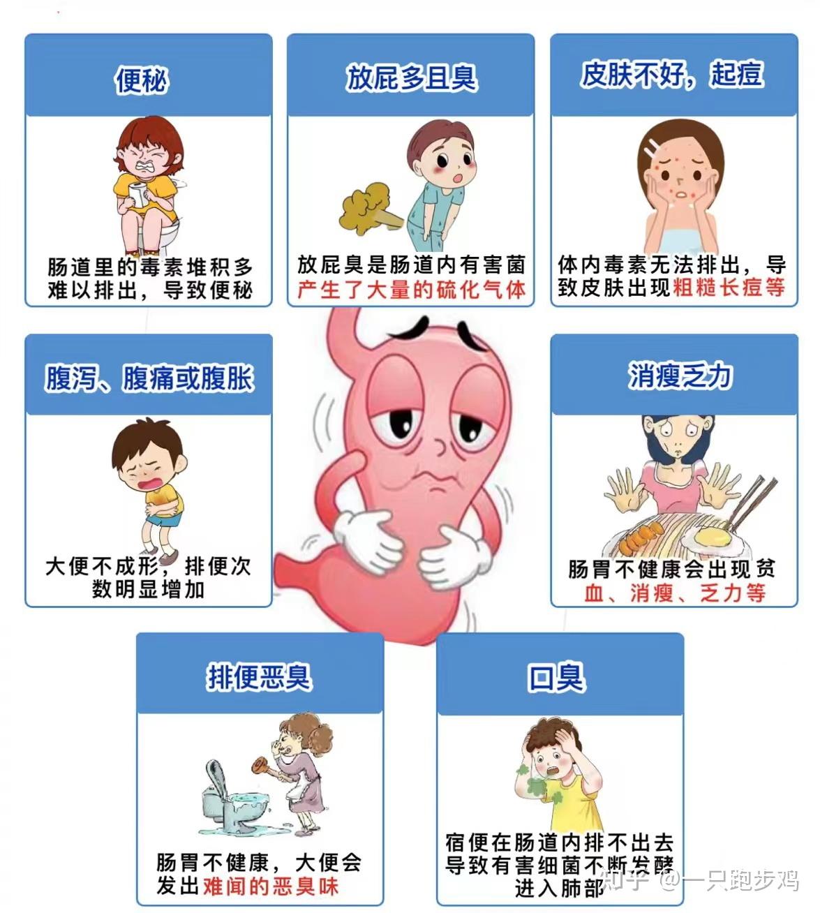 拉肚子,肠胃不好吃益生菌调理有用吗? - 知乎