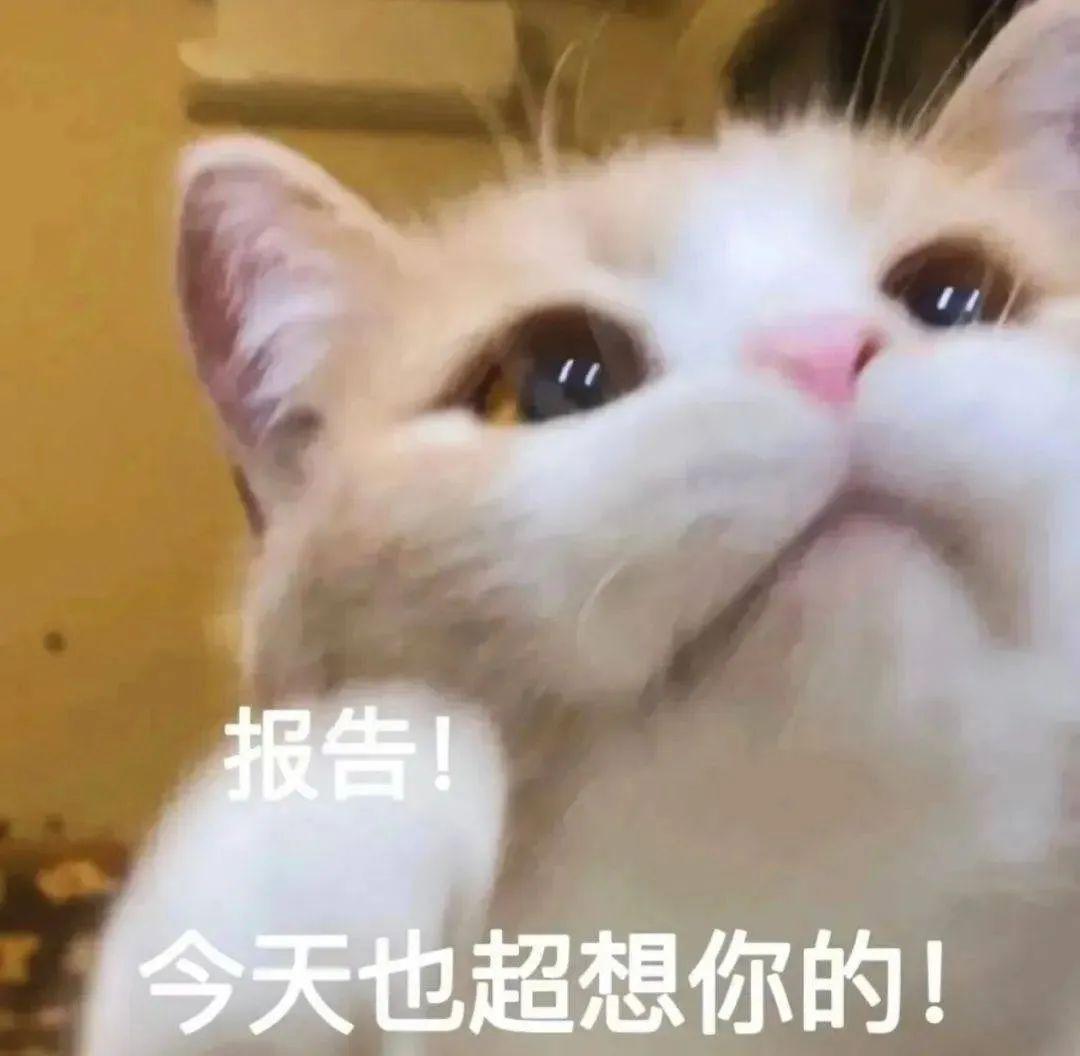 近期热门表情包 | 我真的会谢 - 知乎