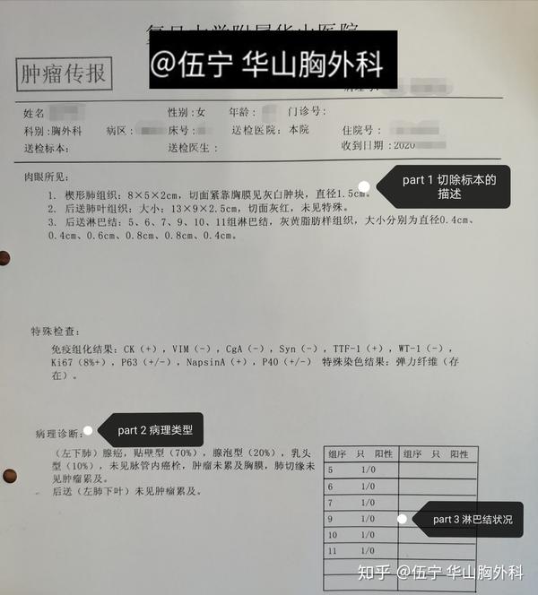 得了肺癌能活多久系列之三手把手教你看懂病理報告中的生存密碼