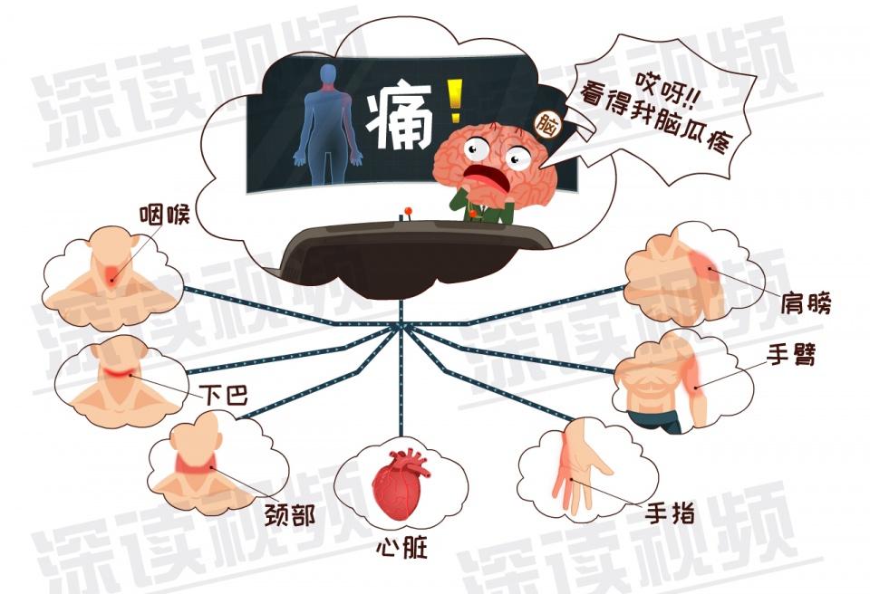 生活不止熬夜蹦迪还有心梗猝死q版心绞痛式猝死了解一下