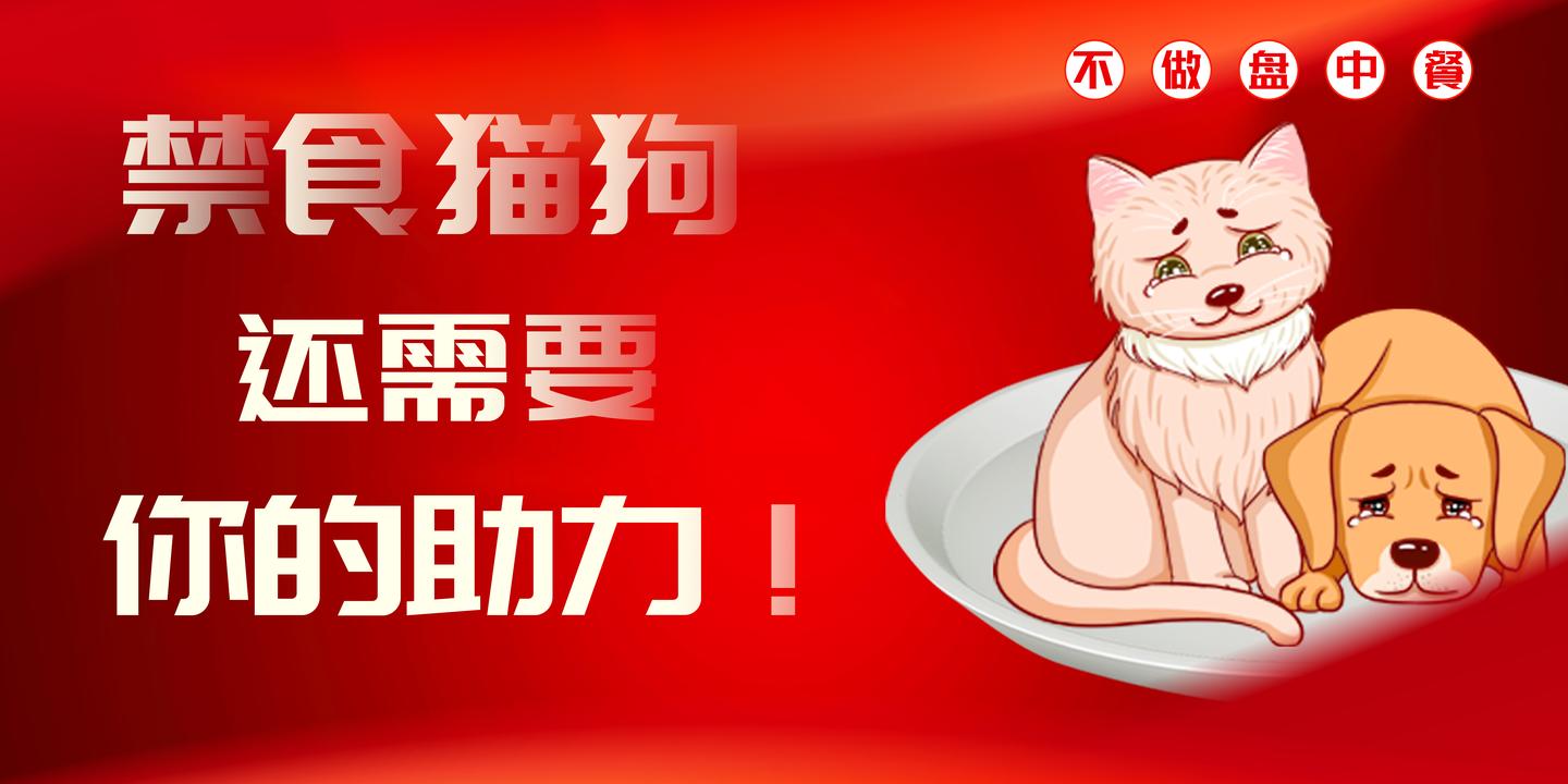 全面禁食猫狗 网友反对呼声渐高 它们 需要你的动 援 知乎