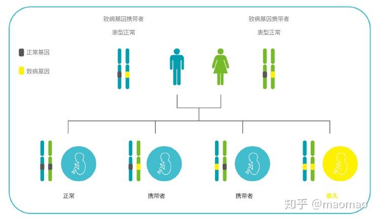 漫谈基因检测与遗传病