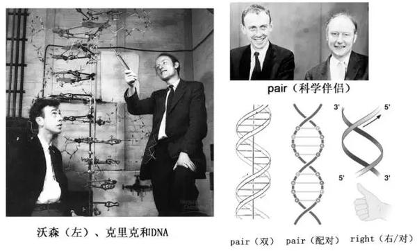 沃森与dna双螺旋附清华演讲直播预告