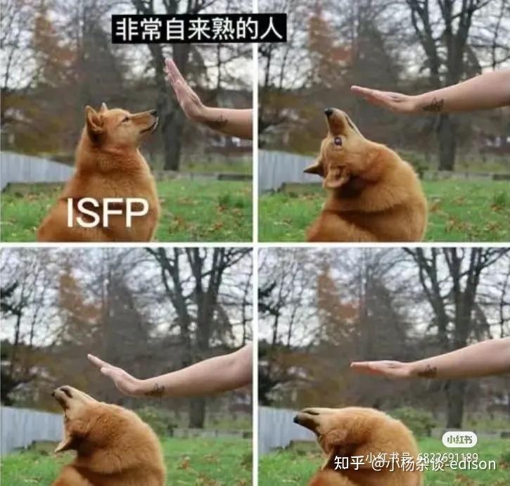 聊聊MBTI之FP人 - 知乎