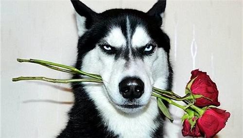 长相冷漠是一种什么体验?