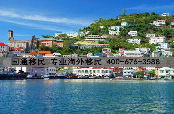 格林纳达移民无排期快速移民美国的项目