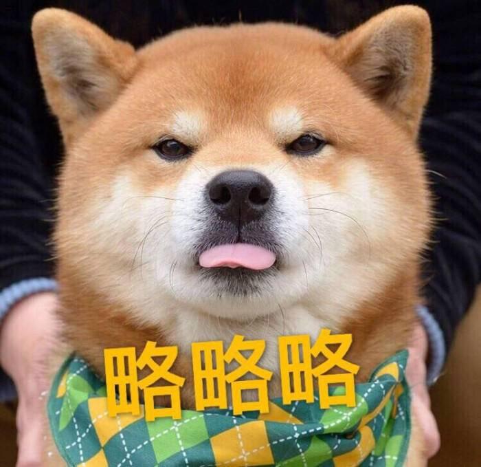 你有哪些超有趣的萌宠表情包? - 知乎