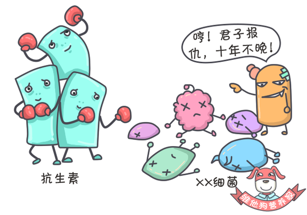 令人闻风丧胆的超级细菌是怎样产生的我们可以怎么做