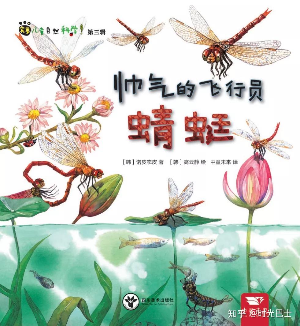 超丰富有趣的自然科普绘本:宾果儿童自然科学系列《帅气的飞行员蜻蜓
