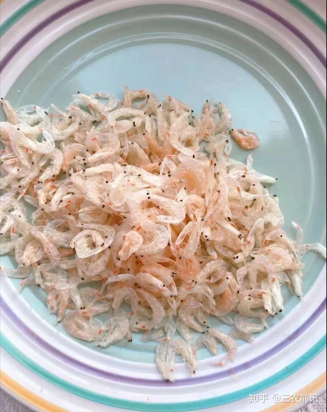 辰颐物语辰颐高钙虾皮补钙首选佳品