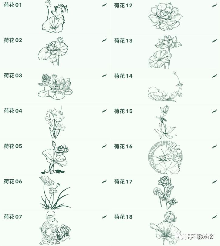 PS+procreate黑科技！各种绝美花卉线稿笔刷齐亮相！ - 知乎