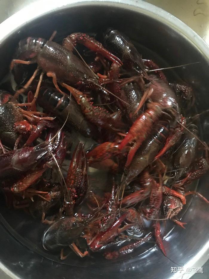 鲜活的小龙虾上市了,不妨在家里做,简单又好吃