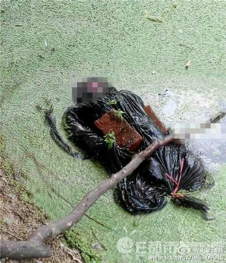 最让你震惊的一宗杀人案件是什么?