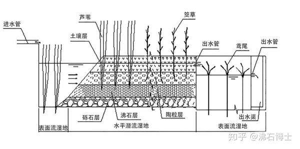 人工湿地原理图片