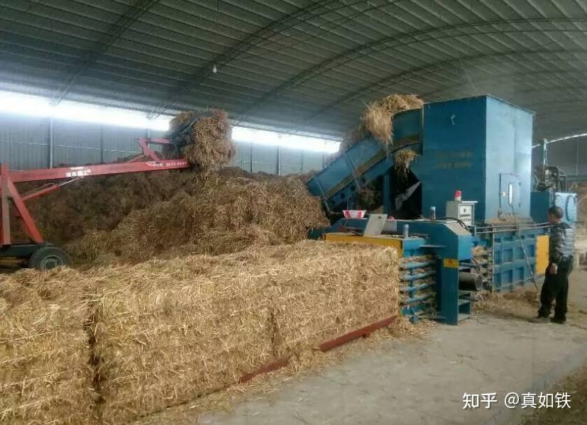 玉米秸秆膨化浆造纸项目可行性研究报告