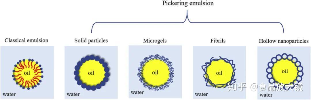 TRENDS FOOD SCI TECH:蛋白稳定pickering乳液稳定性、性质及在食品中的应用 - 知乎