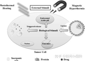 什么是生物制剂 v2-b7784faf40befb02e4b9fd89073f6bf3_b.jpg