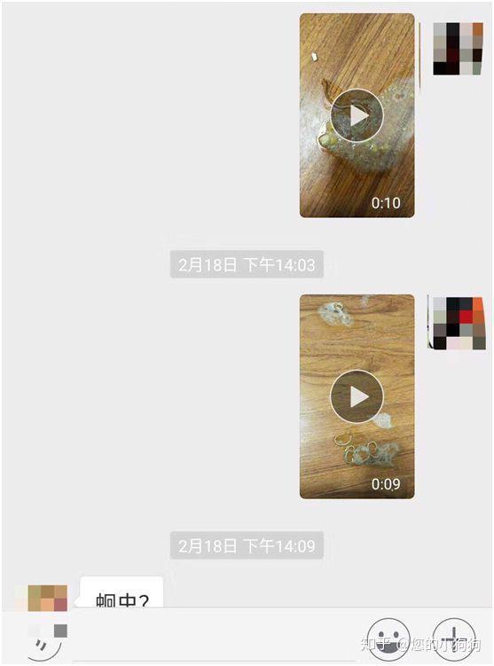 狗狗都是要做驱虫 怎么知道狗狗在什么时候才需要驱虫 知乎 狗狗都是要做驱虫 怎么知道狗狗在什么时候才需要驱虫 知乎