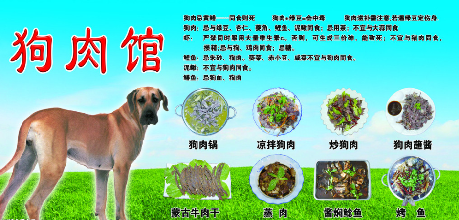 实体店裂变引流(35):短短3个月,狗肉馆名气充斥全城,如何做到的?