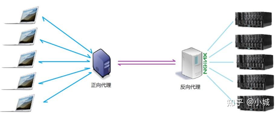 什么是nginx