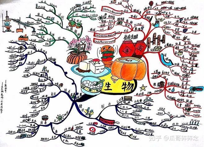 學霸的思維模型:集中思維,還是發散思維?