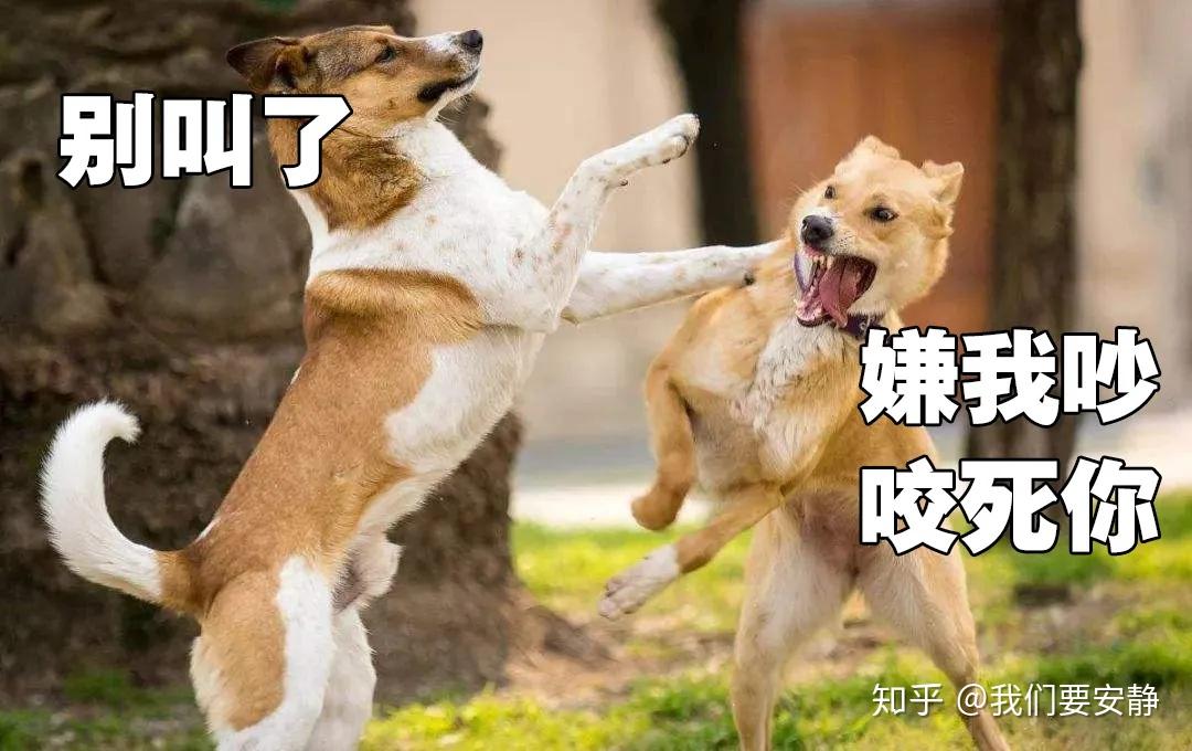 住别墅被吵醒是一种什么体验