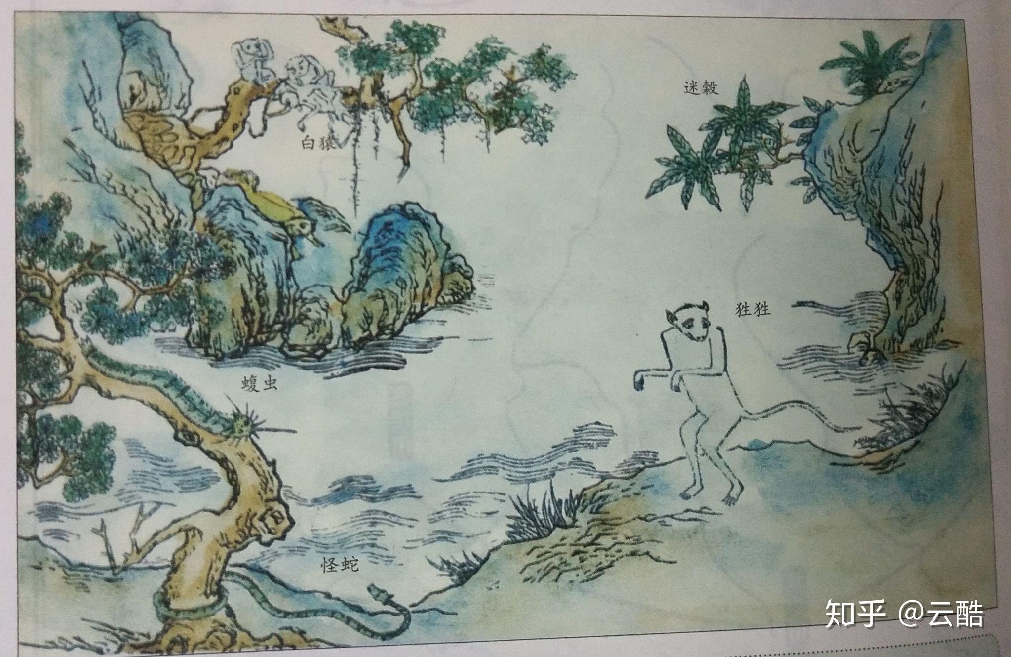 有木焉,其状如榖(gu第三声)而黑理,其华四照,其名曰迷榖,佩之不迷.