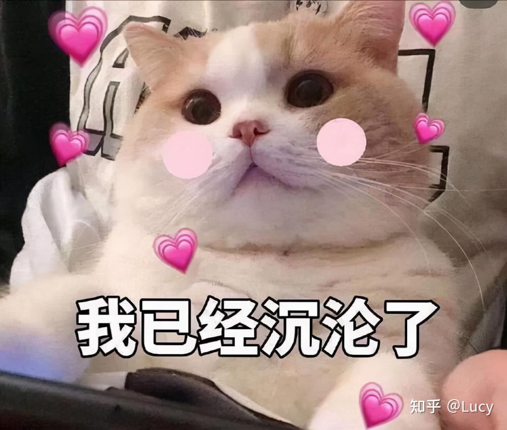 发给对象的可爱撒娇句子,甜到心坎里 - 知乎