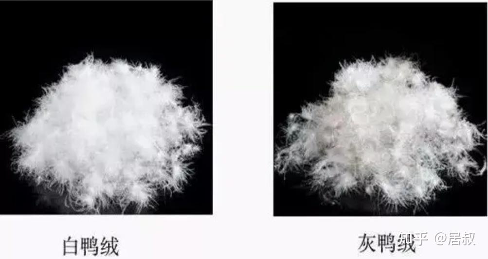 200块和2000块的羽绒服,有什么区别?我都穿过,谈谈真实感受 - 知乎