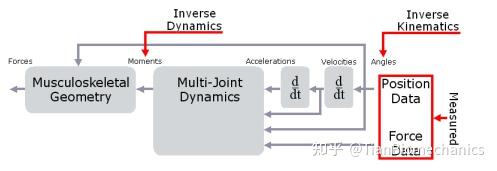 api: opensim::musclesecondorderactivationdynamicmodel... Opensim教程3-缩放、逆向运动学和逆向动力学 - 知乎